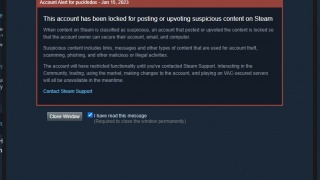 Steam account banned.