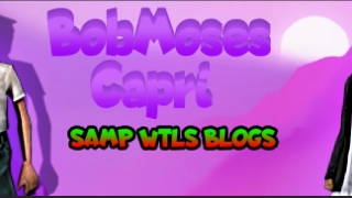 Capri and BobMoses WTLS SAMP blogs