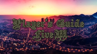 FiveM Player's Guide By Weezyy