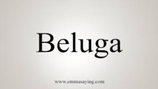 WTLS-Guide by Beluga