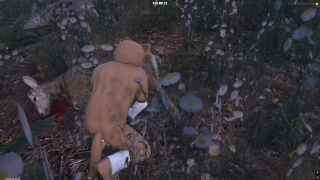 FiveM 2 - Animals hunted