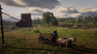 RDR2 countryside 