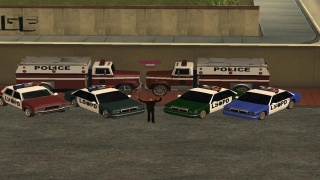 my collection police cars