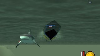 Venčíme s Kaprem žraloka :P
