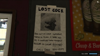 Has anyone seen my cock?