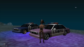 LSPD duo