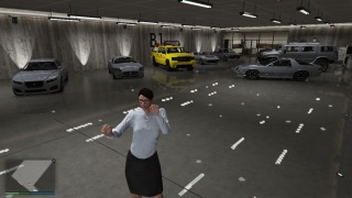 The deleted vehicles from ingame purchases Collection
