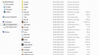 screenshot for my gta directory files
