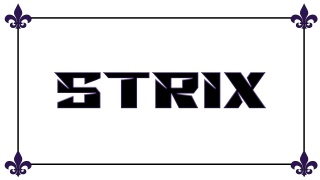 Organizace STRIX