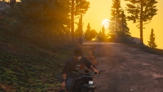 Sunset in the forest 