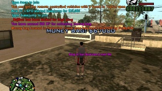 Moneybag in PC