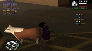 sexy cow :D