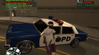 Police Job