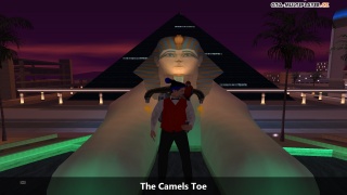 The Camels Toe