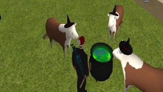 R3kT's cows...