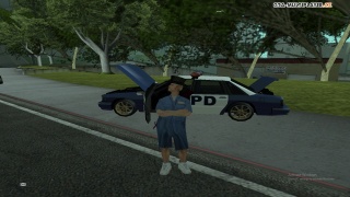 My New FT LSPD <3