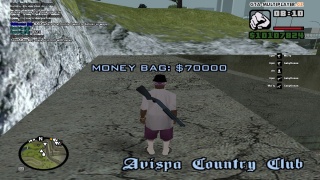 Money Bag Avispa Country Club #1