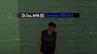 Police Commander 