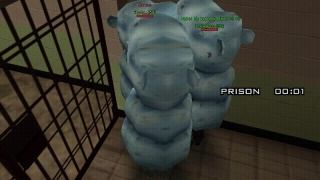 Hippos in prison