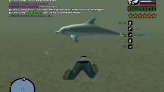 Chilling With Shark under water :)