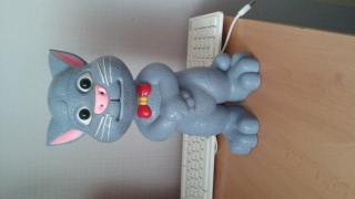 Talking tom !! You are Ready for a shoot ?